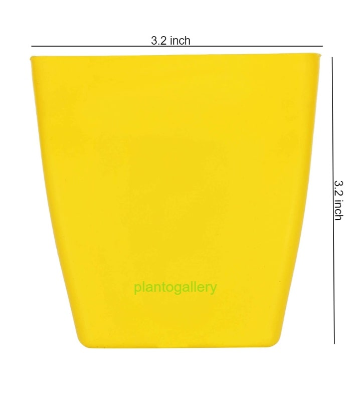 Pearl Pot 3.2 Inch Square Pots (Pack of 10 Pots Yellow)  By Plantogallery