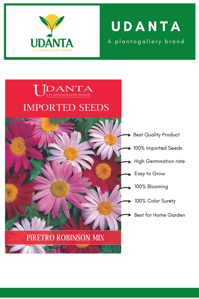 Udanta Imported Flower Seeds - Piretro Robinson'S Flower Seeds - Qty 0.5Gm (Mix)