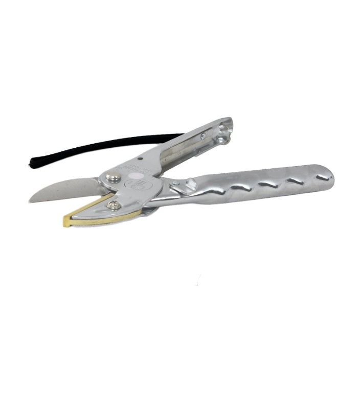 Pruning Regular Secateurs Hardened Steel Blade Good Quality Gardening Tools  By Plantogallery