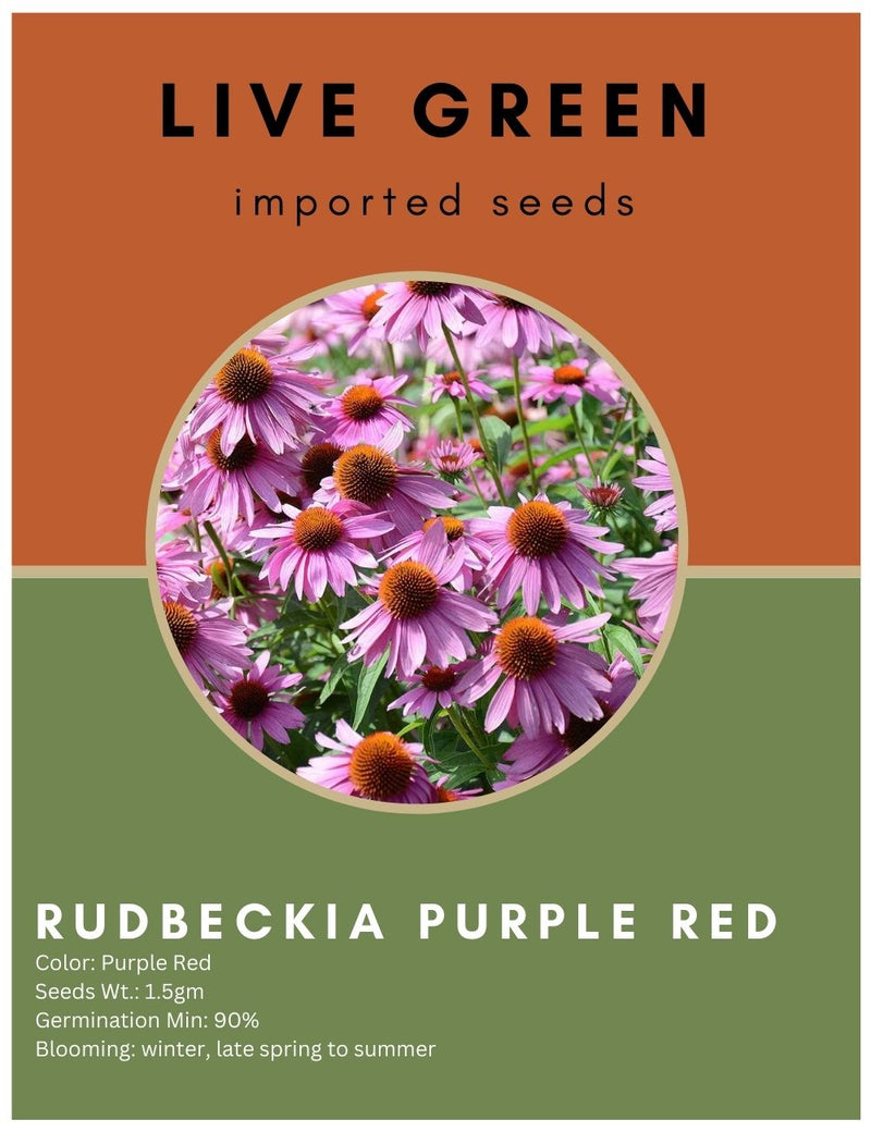 Live Green Imported Seeds - Rudbeckia Purple Red Flower Seeds for Gardening - Pack of 1.5gm Seeds