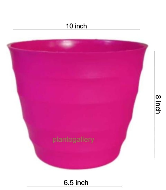 Sapphire Planter 10 Inch Round Pot (Pack of 5 Pots Pink) By Plantogallery