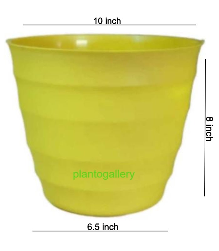 Sapphire Planter 10 Inch Round Pot (Pack of 5 Pots Yellow) By Plantogallery