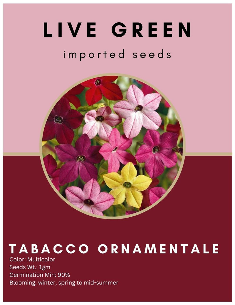 Live Green Imported Seeds - Tabacco Fragrant Mix Ornamental Flower Seeds For Beautiful Gardening - Pack of 1gm Seeds